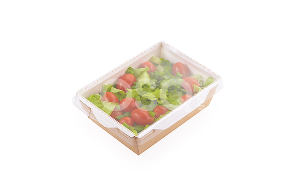 Упаковка OSQ OpSalad 500 БЕЗ КРЫШКИ (50) (600/300 шт./кор.)